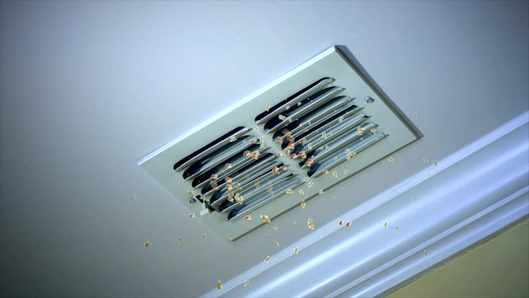 Best Affordable Duct Cleaning Services  in Millersville, PA